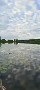 Некрасовское - 19