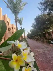 Albatros Aqua Vista Resort - 27