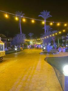 Ali Baba Palace -Families and Couples Only- - 46