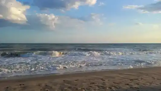 ВесеЛофт - 68