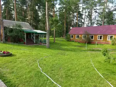 Никоново - 11