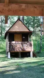 Новый Горизонт - 49