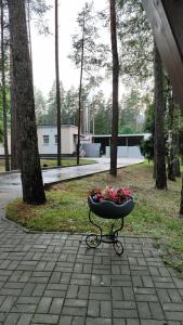 Березина - 14