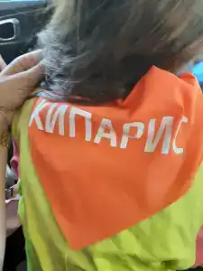 Кипарис - 94