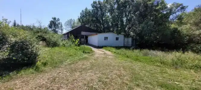 Нукзар - 2