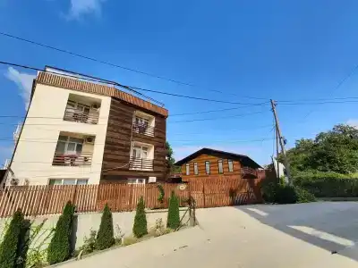MoreWood - 47