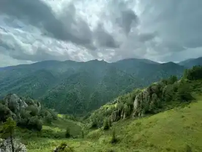 Агария - 18