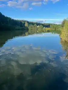 Бард Вилладж - 49