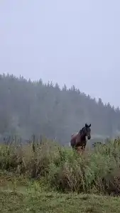 Сухов ключ - 34