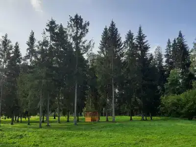 Зелёный остров - 14