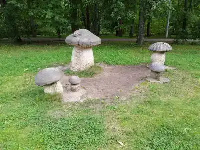 Парк-отель на Жуковского, 5 - 63