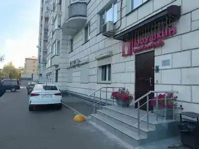Подушкин Левченко - 1