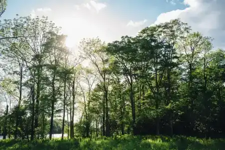 Заимка Узалы - 67