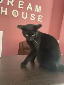 Гостевые комнаты Dream House - 44