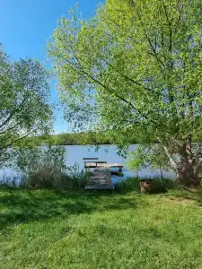 Золотой карп - 13