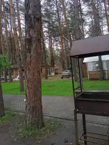 Чайка - 36