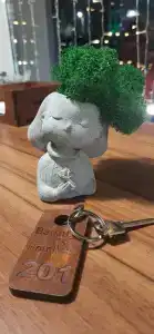 Baunty - 13