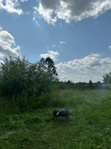 ЭкоОстров - 46