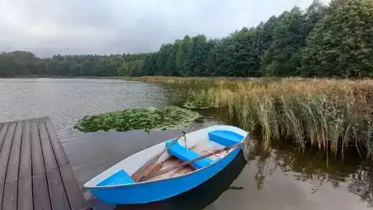 Шельден - 21
