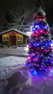 Чайка - 2