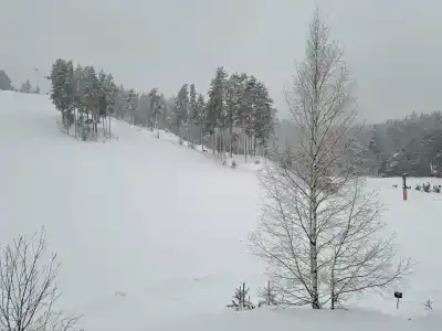 Пухтолова Гора - 43