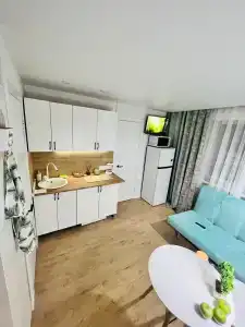 Полярник - 40