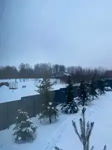 Ильинка лес - 70