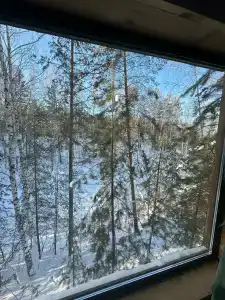 Магия леса - 10