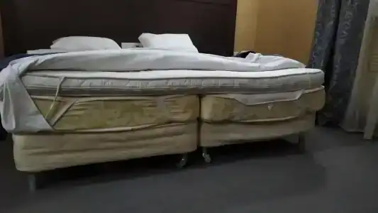 Регина Университетская - 23