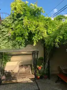 Колибри - 0