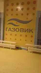 Газовик - 32