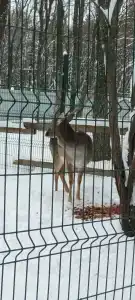 Энергетик - 28