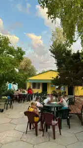 Фрунзенец - 38