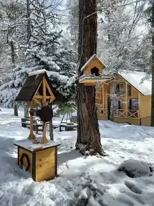 Chalet Family - 8