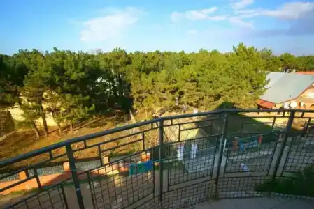 Дом друзей - 32