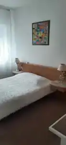 Швейцарский Дом - 45