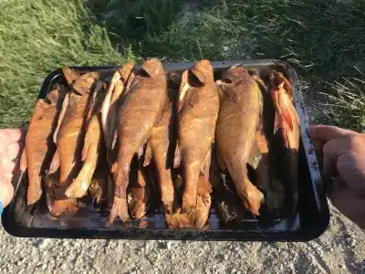 Воробьёвы горы - 18