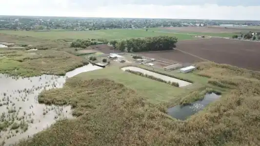 Оазис Станицы - 20