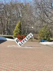 Берёзка - 1