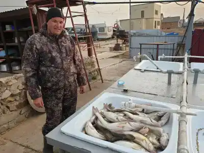 Промысловая - 60