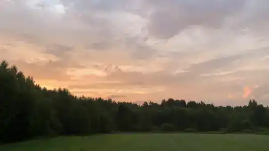 Королевская охота - 56