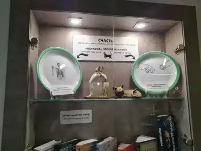 Парадокс - 81