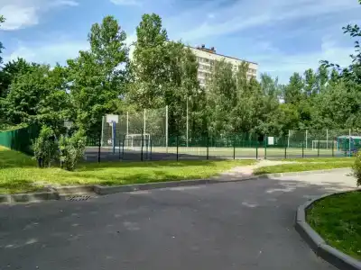 Ирис - 38
