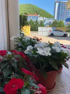 Прибой - 11
