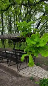 База отдыха у Реки - 4
