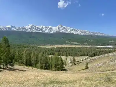 Мир Алтай - 81