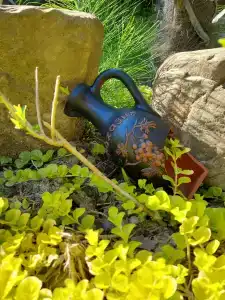 Дом Солнца - 44