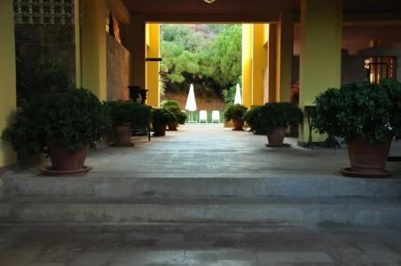 Palm Court Suites - 31