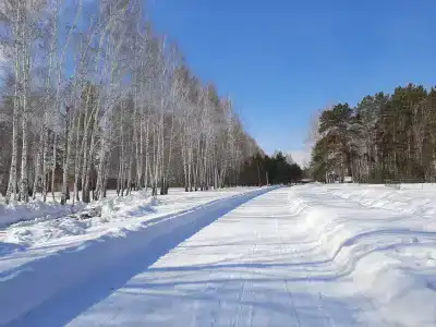 Ласточка - 49