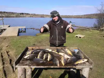 Рыбалка на Юдинках - 10